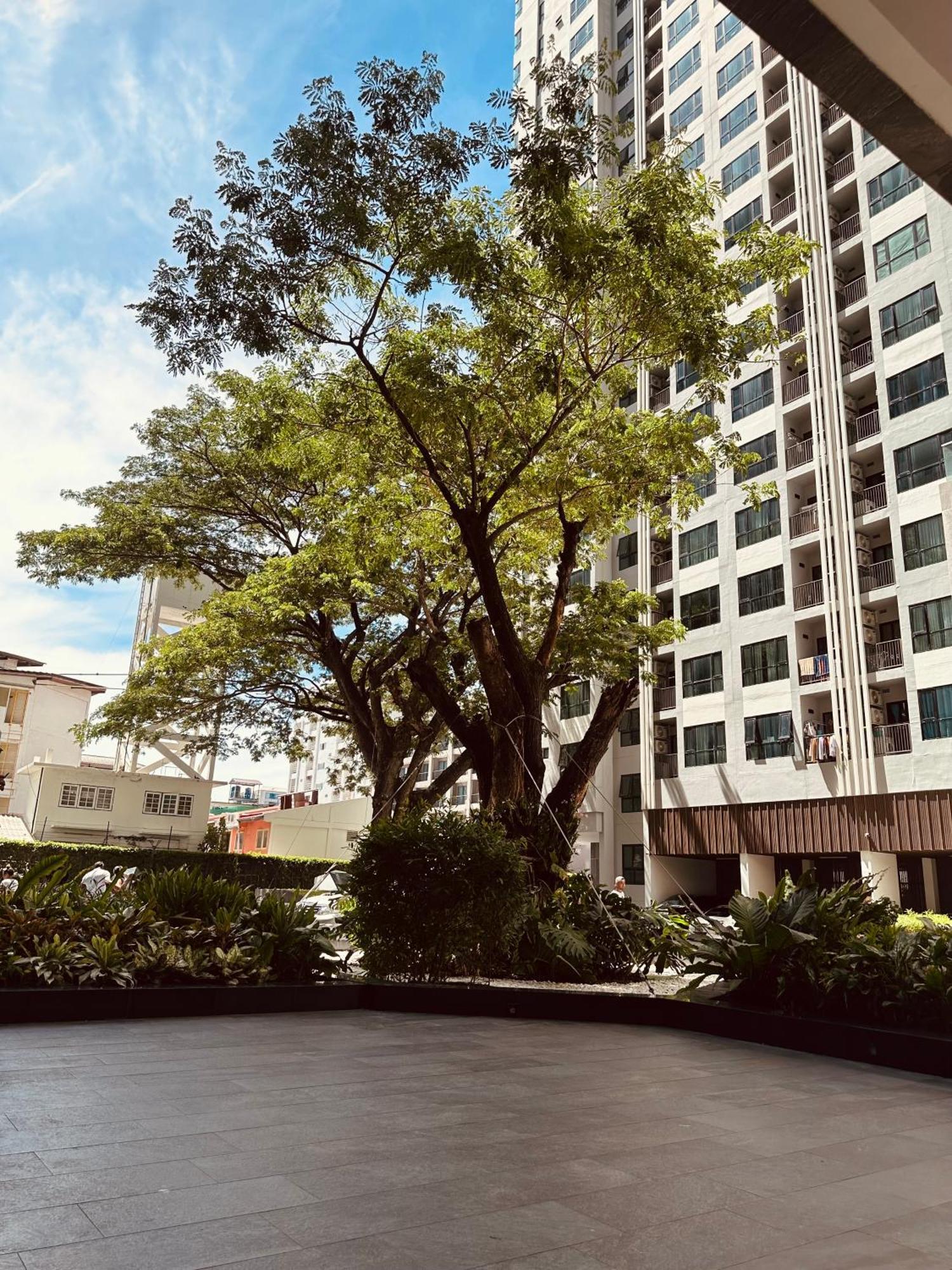 The Base Apartments At Central パッタヤー エクステリア 写真